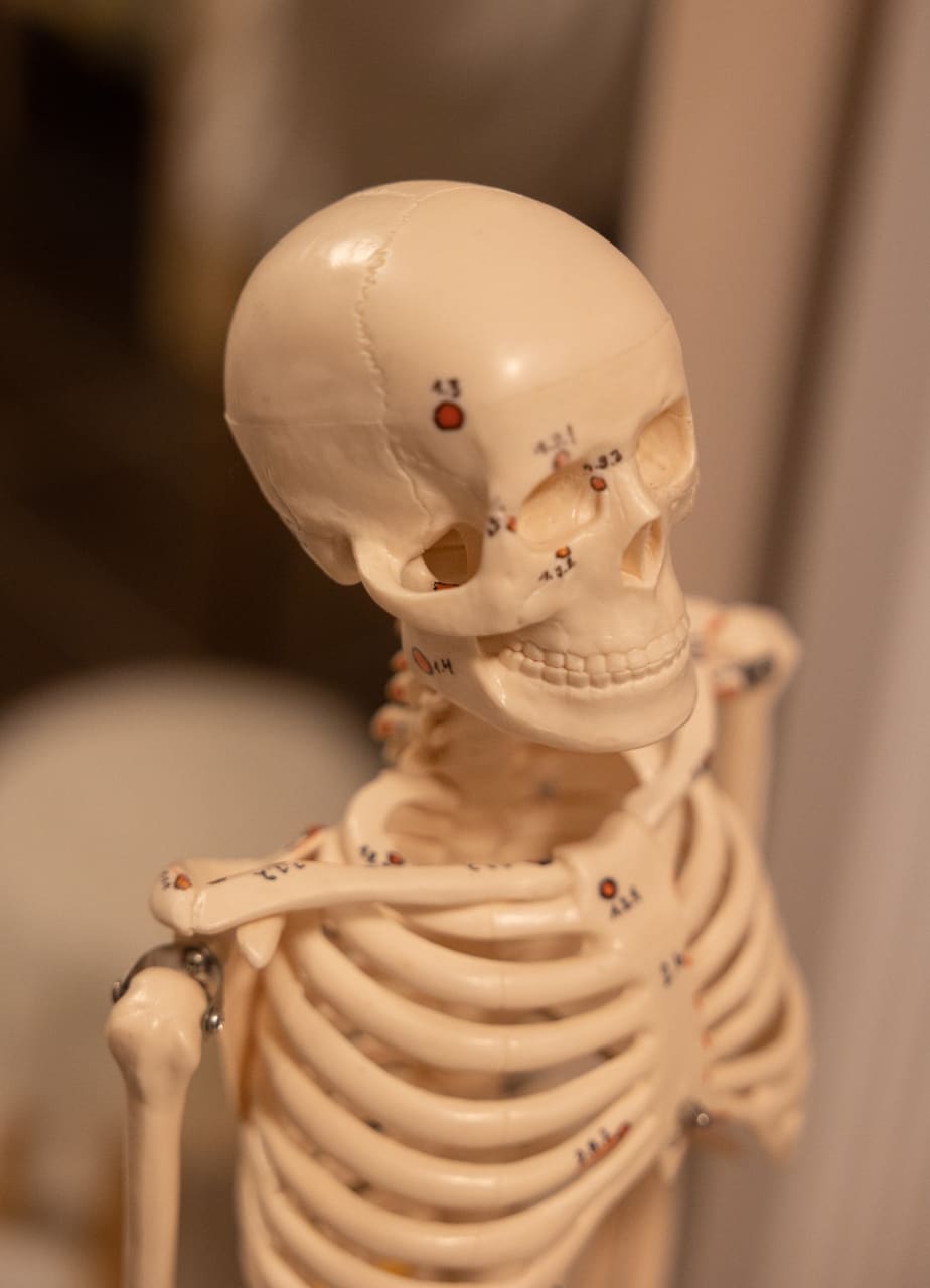 Skelett mit markierten Osteopressur-Punkten